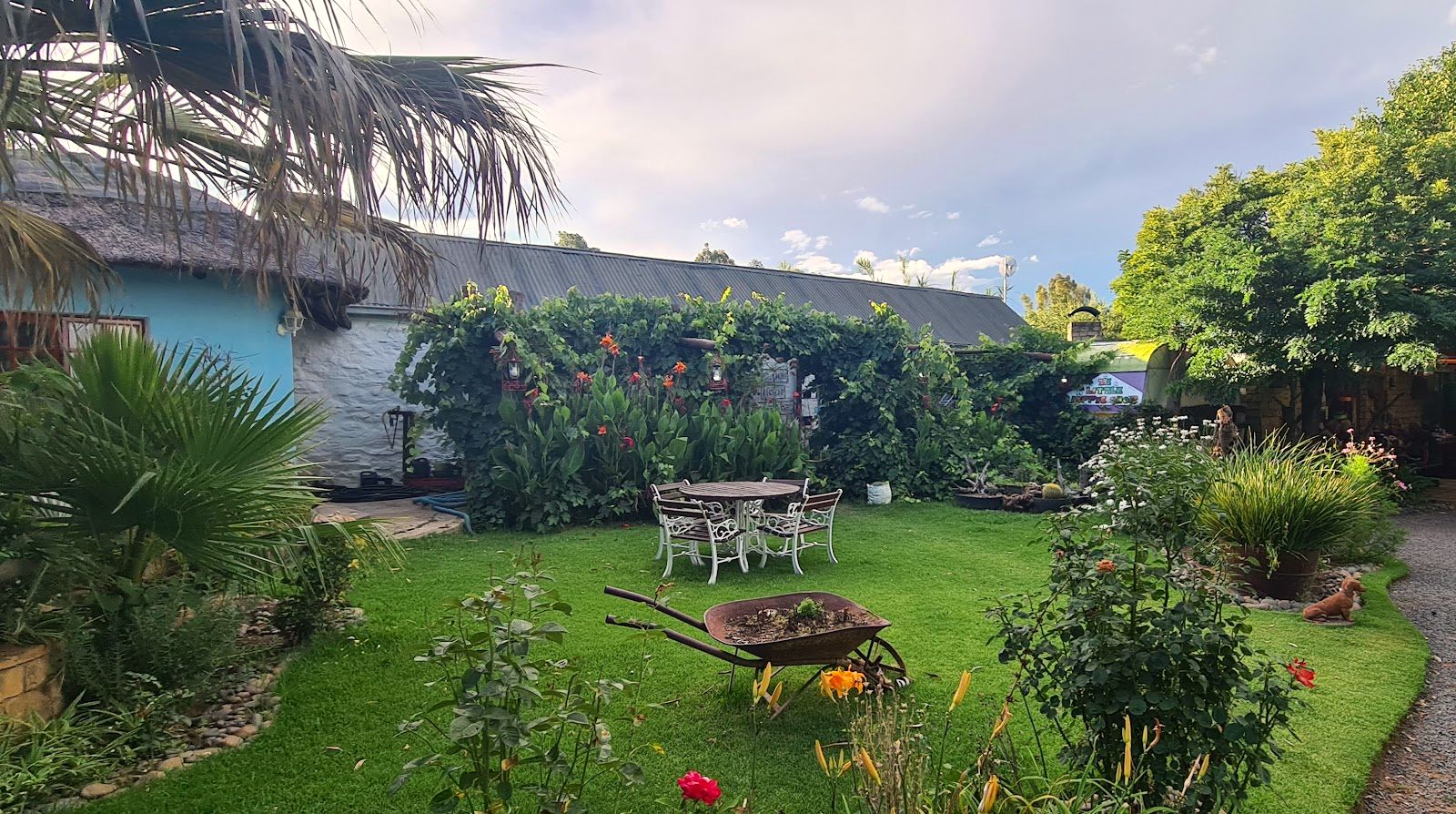 The garden